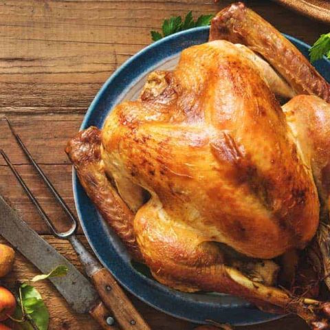 Masterbuilt Smoker Thanksgiving Turkey Recipe