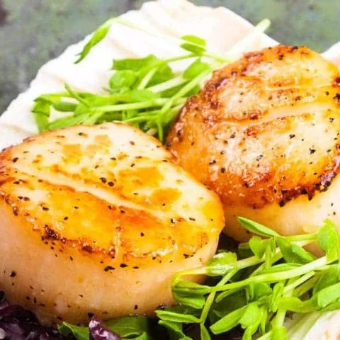 Tasty Masterbuilt Smoked Scallops